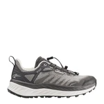 Lowa Fortux GTX Trailrunningschuh Dunkelgrau/Hellgrau/Grau