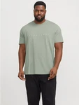 Jack & Jones T-Shirt JJEStar Dunkelgrün/Grün/Khaki/Hellgrün