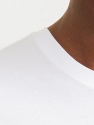 Jack & Jones T-Shirt JJELOGO TEE SS O-NECK 2 COL SS25 SN Weiß/Grün/Creme