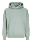 Jack & Jones Hoodie Sweatshirt Grün/Hellgrün
