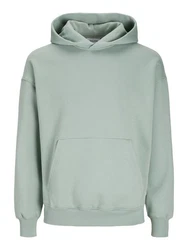 Jack & Jones Hoodie Sweatshirt Grün/Hellgrün