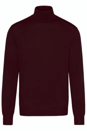 Rollkragenpullover Francis 1/1 (1-tlg)