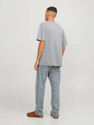 Jack & Jones T-Shirt JJEORGANIC BASIC TEE SS O-NECK (1-tlg) Grau/Hellgrau