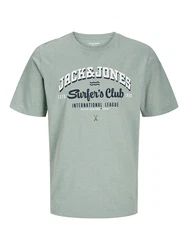 JACK & JONES T-Shirt marine/grau/pastellgrün/weiß