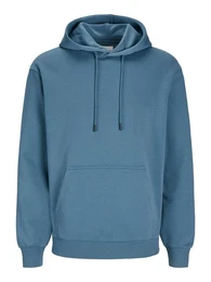 Plus Sweatshirt JJEBRADLEY (1-tlg)