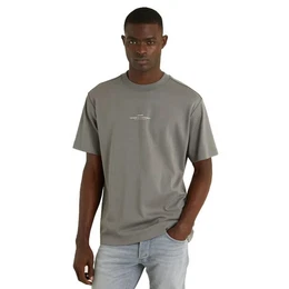 CHASIN' T-Shirt Draco T-Shirt, grau