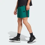 Adidas Sportswear Essentials Chelsea Shorts Grün/Dunkelgrün