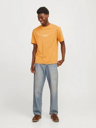 Jack & Jones T-Shirt JORVesterbro Orange/Gelb