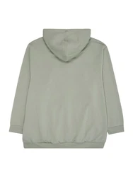 Jack & Jones Sweatshirt JJEBRADLEY HOOD NOOS PLS 