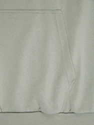Jack & Jones Sweatshirt JJEBRADLEY HOOD NOOS PLS 