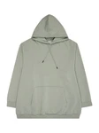 Jack & Jones Sweatshirt JJEBRADLEY HOOD NOOS PLS 
