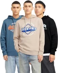 Jack & Jones Kapuzensweatshirt Logoprint Blau/Mischfarben/Beige