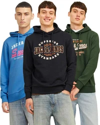 Jack & Jones Kapuzensweatshirt Logoprint Mischfarben/Dunkelgrün/Grün/Schwarz/Hellblau