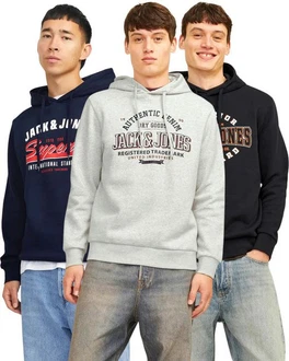 Jack & Jones Kapuzensweatshirt Logoprint Dunkelblau/Grau/Lila