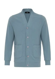 Cardigan V-Neck Cardigan