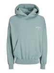 Jack & Jones Sweatshirt Santorini beige/grn