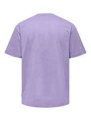 ONLY & SONS T-Shirt ONSFred (1-tlg) 