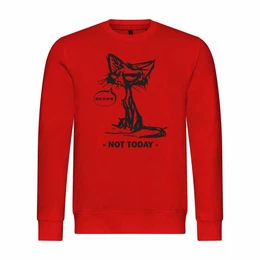 Rundhalspullover Herren Pullover Katze not today Mit Print Motiv, Grafik
