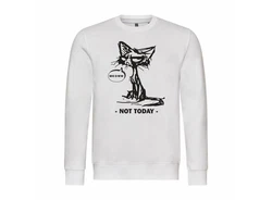 deinshirt Rundhalspullover Herren Pullover Katze not today Grau/Creme/Weiß/Schwarz
