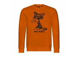 deinshirt Rundhalspullover Herren Pullover Katze not today Orange