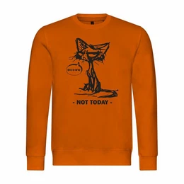 Rundhalspullover Herren Pullover Katze not today Mit Print Motiv, Grafik