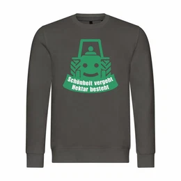 Rundhalspullover Herren Pullover Schnheit vergeht Hektar besteht Mit Print Motiv, Grafik