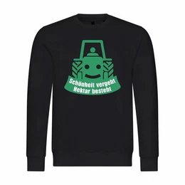 Rundhalspullover Herren Pullover Schnheit vergeht Hektar besteht Mit Print Motiv, Grafik