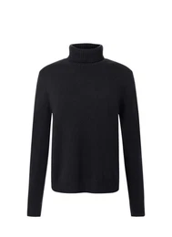 Rollkragenpullover Pullover Rollkragen 1/1 Arm