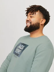 Jack & Jones Plus Sweatshirt JJHudson Grün/Dunkelgrün