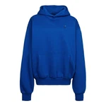 Karl Kani Kapuzenpullover Icy Dancer Back 
