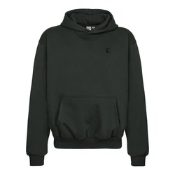 Karl Kani Kapuzenpullover Icy Dancer Back Dunkelgrün/Grün