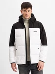 BOSS Jacke Hamar 3 grün