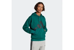 adidas Sportswear Kapuzensweatshirt Essentials Grün/Türkis/Dunkelgrün
