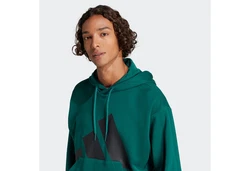 adidas Sportswear Kapuzensweatshirt Essentials Grün/Türkis/Dunkelgrün