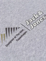 Jack & Jones Pullover Jcolima Hellgrau/Grau/Silber