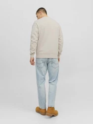 Jack & Jones Sweatshirt Relaxed Fit JORVESTERBRO 6020 Sand (6020)