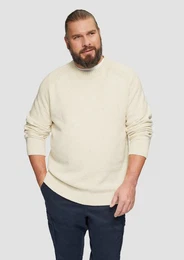 Strickpullover Crew-Neck-Pullover mit Farbeffekt Rippblende