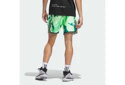 adidas Performance Sweatshorts ADIDAS CRAZY LITE SHORTS Dunkelgrün/Grün