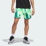 adidas Performance Sweatshorts ADIDAS CRAZY LITE SHORTS Dunkelgrün/Grün