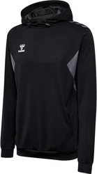 hummel Hoodie Hmlauthentic Pl Hoodie 