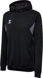 hummel Hoodie Hmlauthentic Pl Hoodie 