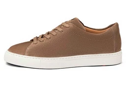 [D2C] 24-584-44 Sneaker