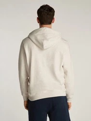 Tommy Jeans Hoodie TJM REG LINEAR LOGO HOODIE EXT Grau/Khaki/Hellblau/Beige/Braun