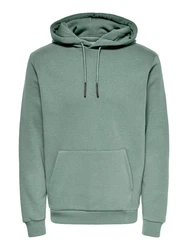 ONLY & SONS Sweatshirt ONSCERES HOODIE SWEAT Pastell-Grün