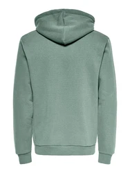 ONLY & SONS Sweatshirt ONSCERES HOODIE SWEAT Pastell-Grün