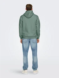 ONLY & SONS Sweatshirt ONSCERES HOODIE SWEAT Pastell-Grün