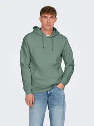 Kapuzensweatshirt ONSCERES HOODIE SWEAT NOOS