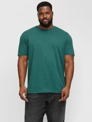 Jack & Jones PlusSize Rundhalsshirt JJEORGANIC MEL TEE SS O-NECK NOOS Grün/Türkis/Dunkelgrün