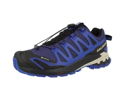 Salomon SHOES XA PRO 3D V9 GTX 