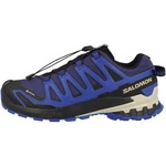 Salomon SHOES XA PRO 3D V9 GTX 